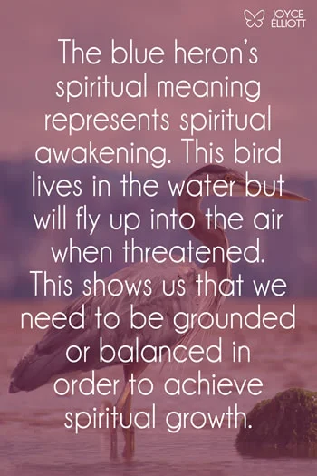 Blue Heron Spiritual Meaning