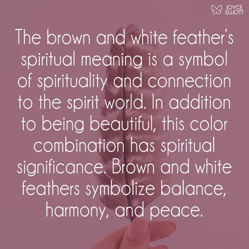 Brown and white feather spiritual meaning