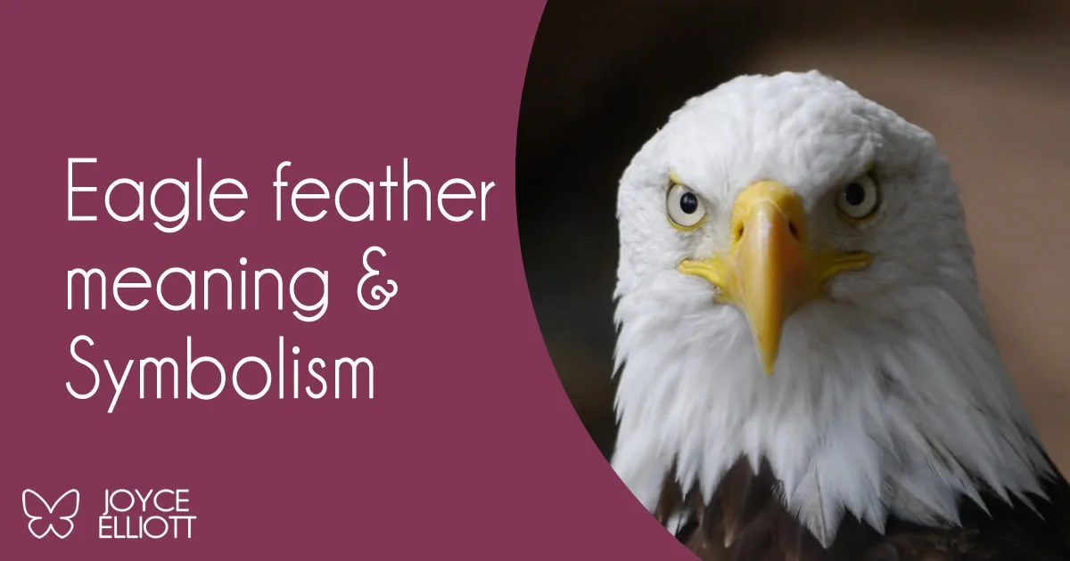 Eagle Feather Meaning Symbolism 7 Amazing Messages Joyce Elliott