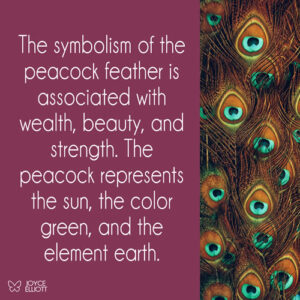 Peacock Feather Meaning: 5 Powerful Symbolisms - Joyce Elliott
